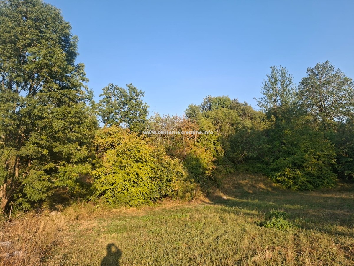 Prodaja, zemljište 4.500m2, Lijeva Rijeka, Podgorica
